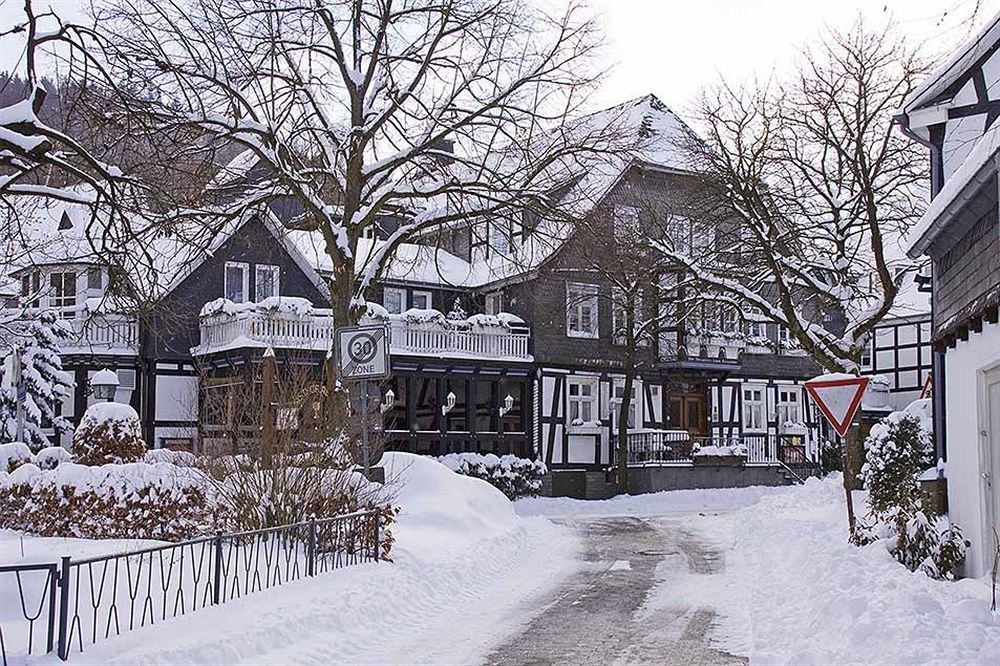 Landhotel Albers Schmallenberg Dış mekan fotoğraf